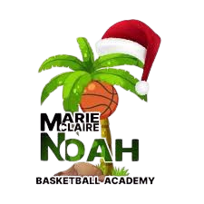 MC Noah Yaounde 队徽